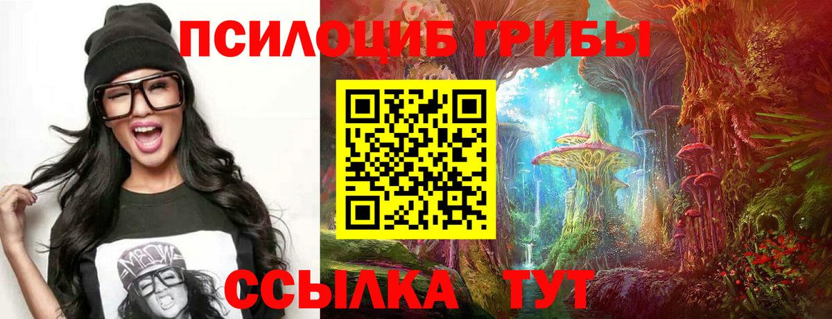 Галлюциногенные грибы GOLDEN TEACHER  Вход с VPN  Сальск 