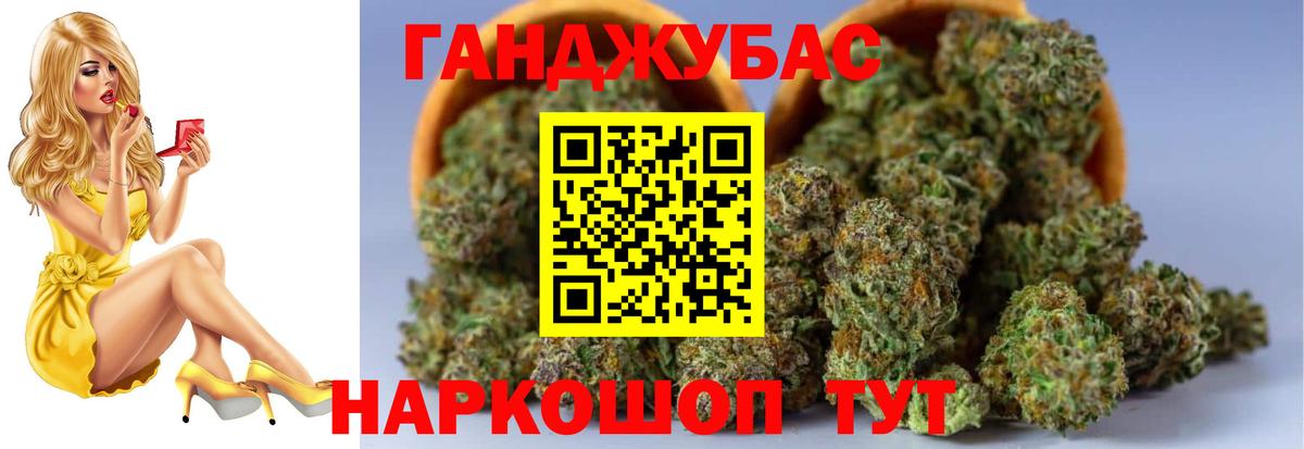 Канабис гибрид Сальск